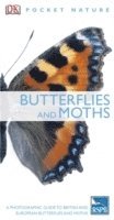 Butterflies and Moths 1