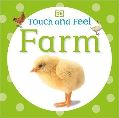 bokomslag Touch and Feel Farm