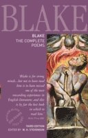 W.H. Stevenson, W. H. Stevenson - Blake: The Complete Poems, Häftad