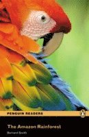 Level 2: The Amazon Rainforest