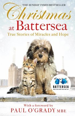 bokomslag Christmas at Battersea: True Stories of Miracles and Hope