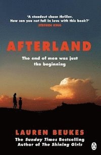 bokomslag Afterland