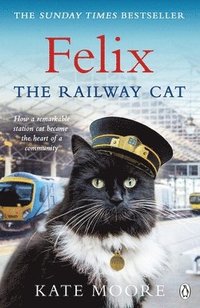 bokomslag Felix the Railway Cat