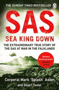 bokomslag SAS: Sea King Down