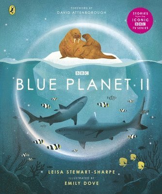 bokomslag Blue Planet II