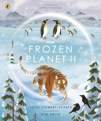 bokomslag Frozen Planet II