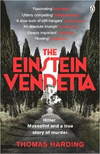 bokomslag Einstein Vendetta