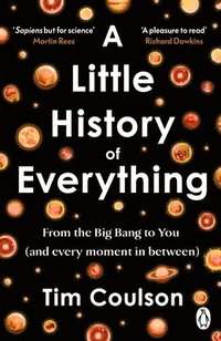 bokomslag A Little History of Everything