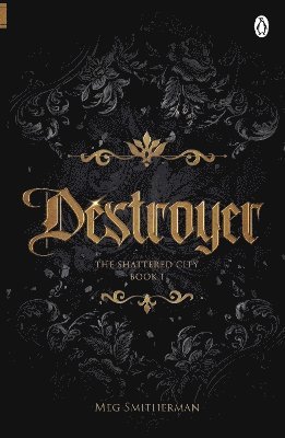 bokomslag Destroyer