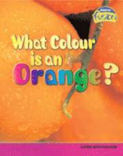 bokomslag What Colour is an Orange?