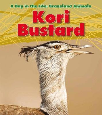 Louise A. Spilsbury - Kori Bustard. Louise Spilsbury, Häftad