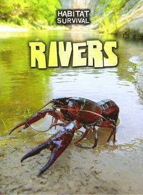 Rivers 1