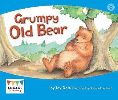 bokomslag Grumpy Old Bear
