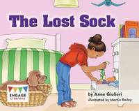 bokomslag Lost Sock