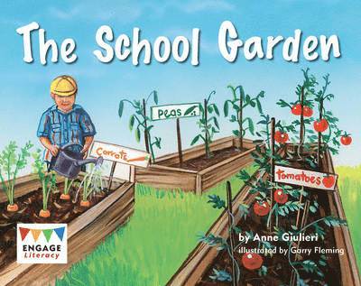 The School Garden 1