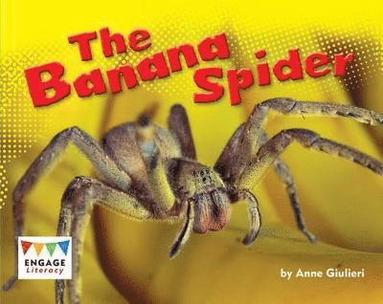 bokomslag Banana Spider