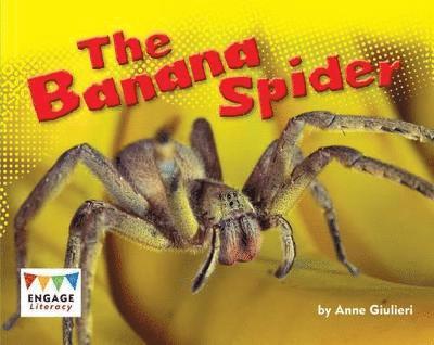 Banana Spider 1