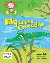 bokomslag Big Green Crocodile