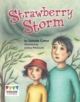 bokomslag Strawberry Storm