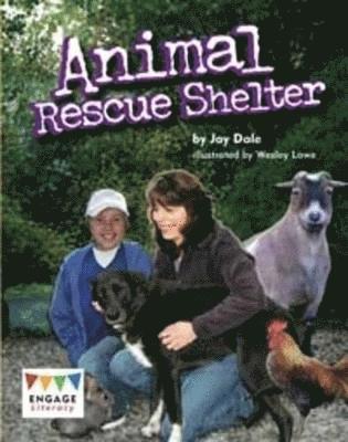 Animal Rescue Shelter 1