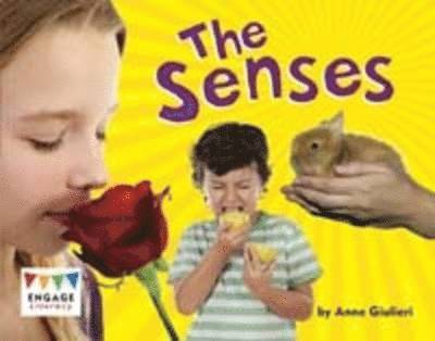 The Senses 1