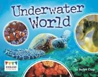 bokomslag Underwater World