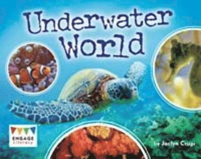 Underwater World 1