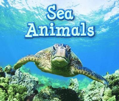 Sea Animals 1