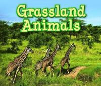 bokomslag Grassland Animals