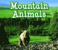 bokomslag Mountain Animals