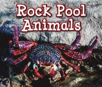 bokomslag Rock Pool Animals