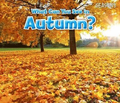 What Can You See In Autumn? 1