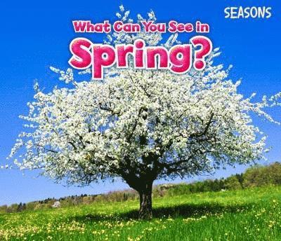 What Can You See In Spring? 1