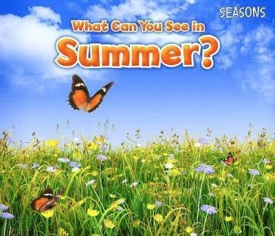 What Can You See In Summer? 1