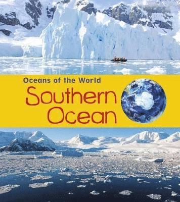 bokomslag Southern Ocean