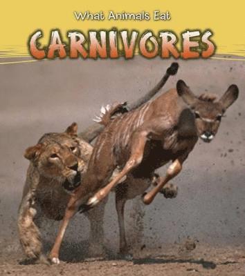 bokomslag Carnivores