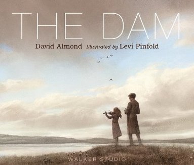 bokomslag The Dam