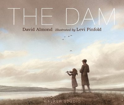 David Almond - Dam, Inbunden