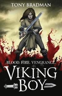 bokomslag Viking Boy
