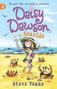 bokomslag Daisy Dawson at the Seaside