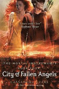 bokomslag City of Fallen Angels