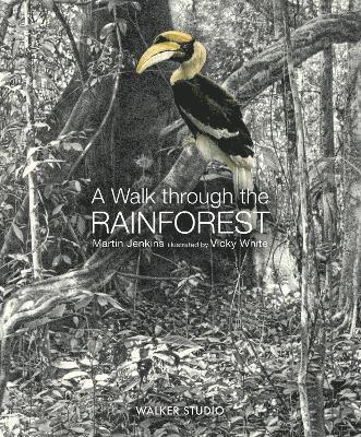 Walk Through the Rainforest