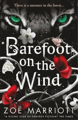 bokomslag Barefoot on the Wind