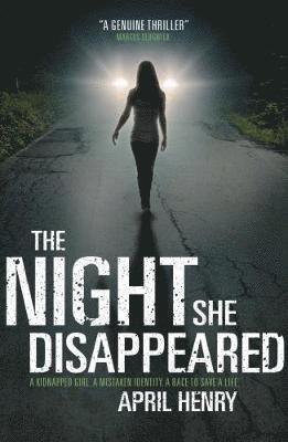 The Night She Disappeared 1