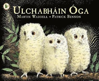 Martin Waddell - Ulchabháin Óga (Owl Babies), Häftad