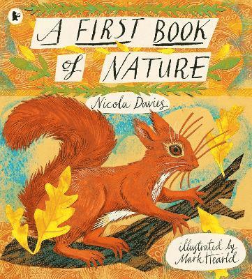 bokomslag A First Book of Nature