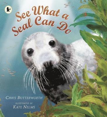 See What a Seal Can Do 1