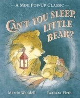 bokomslag Can't You Sleep, Little Bear?