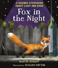 bokomslag Fox in the Night: A Science Storybook About Light and Dark