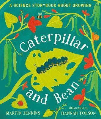 Caterpillar and Bean 1